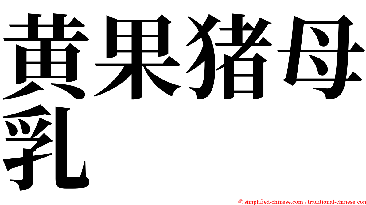 黄果猪母乳 serif font