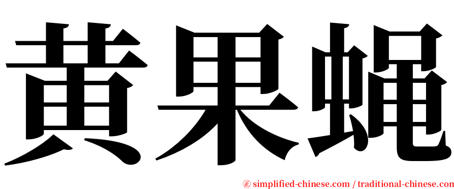 黄果蝇 serif font