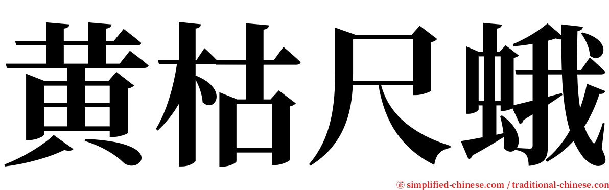 黄枯尺蛾 serif font