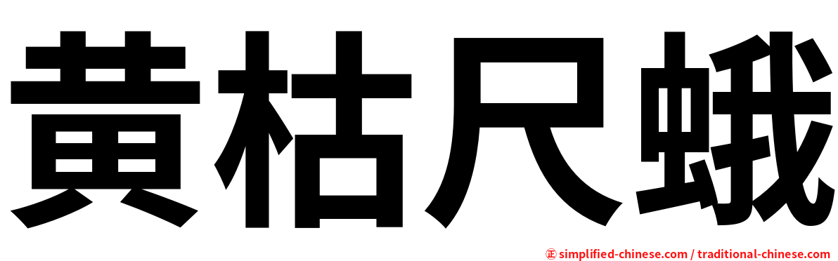 黄枯尺蛾