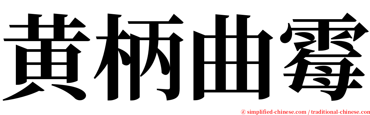 黄柄曲霉 serif font