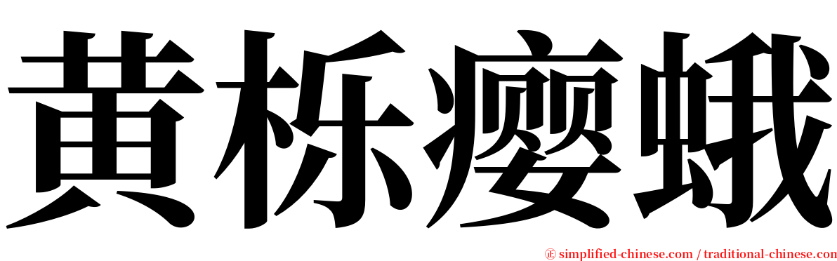 黄栎瘿蛾 serif font