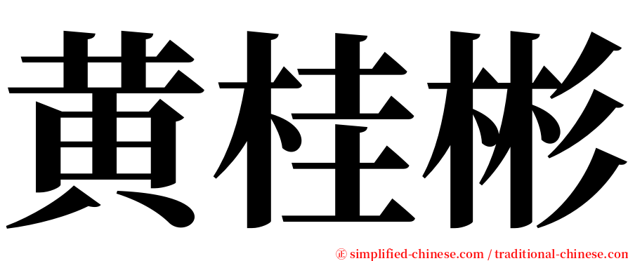 黄桂彬 serif font