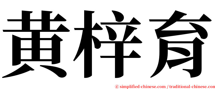 黄梓育 serif font