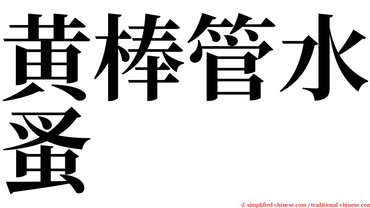 黄棒管水蚤 serif font