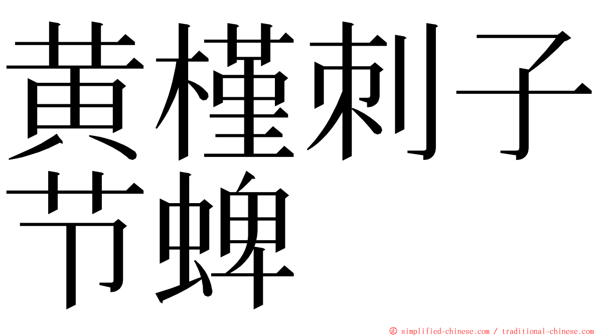黄槿刺子节蜱 ming font