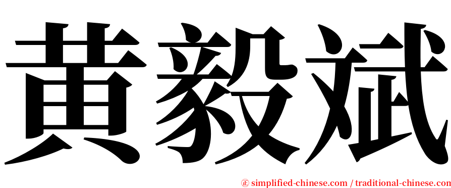 黄毅斌 serif font