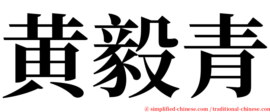 黄毅青 serif font