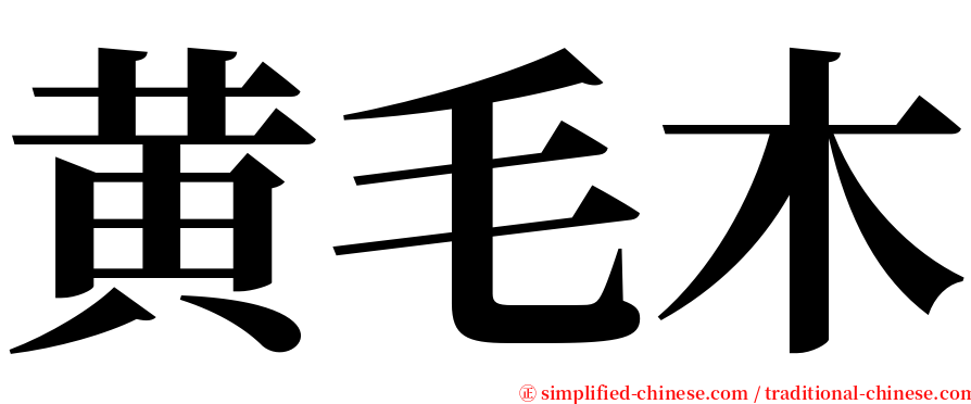 黄毛木 serif font