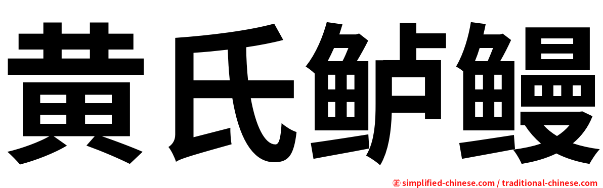 黄氏鲈鳗
