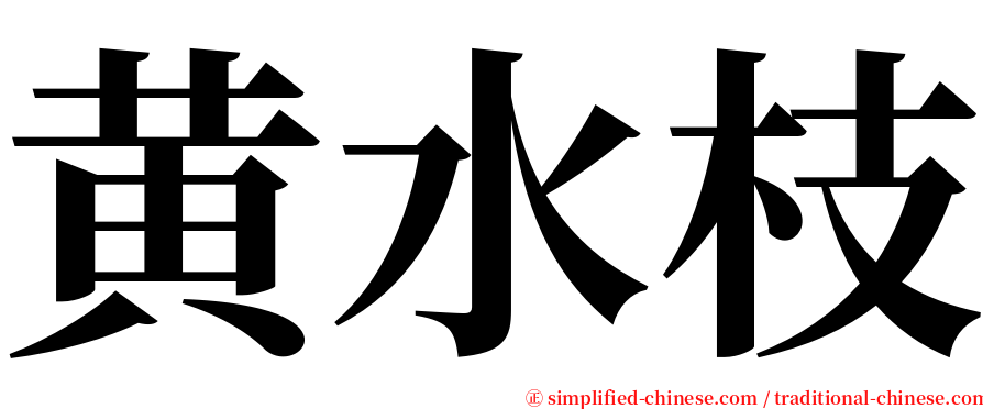 黄水枝 serif font