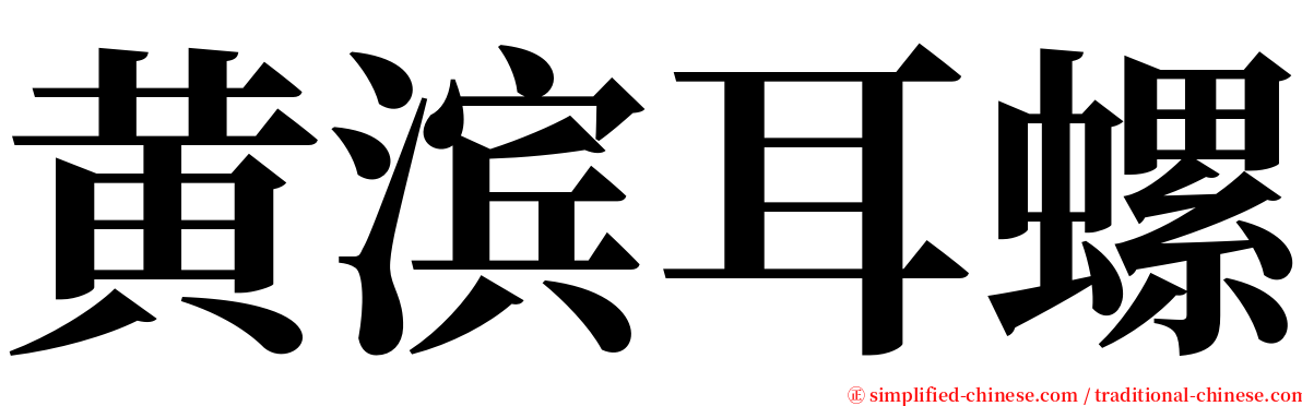 黄滨耳螺 serif font