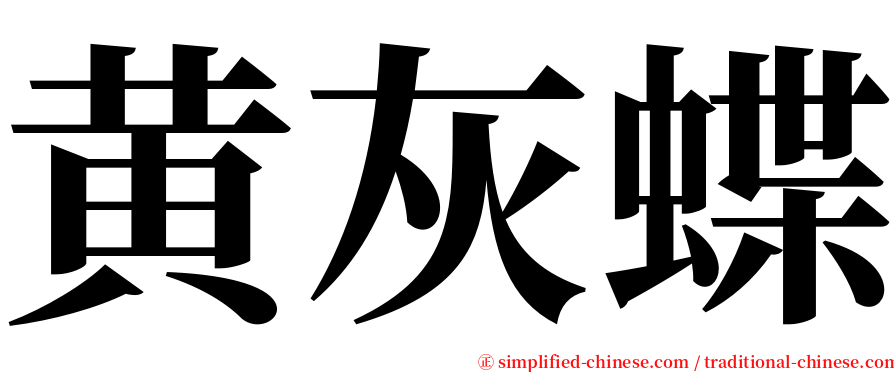 黄灰蝶 serif font
