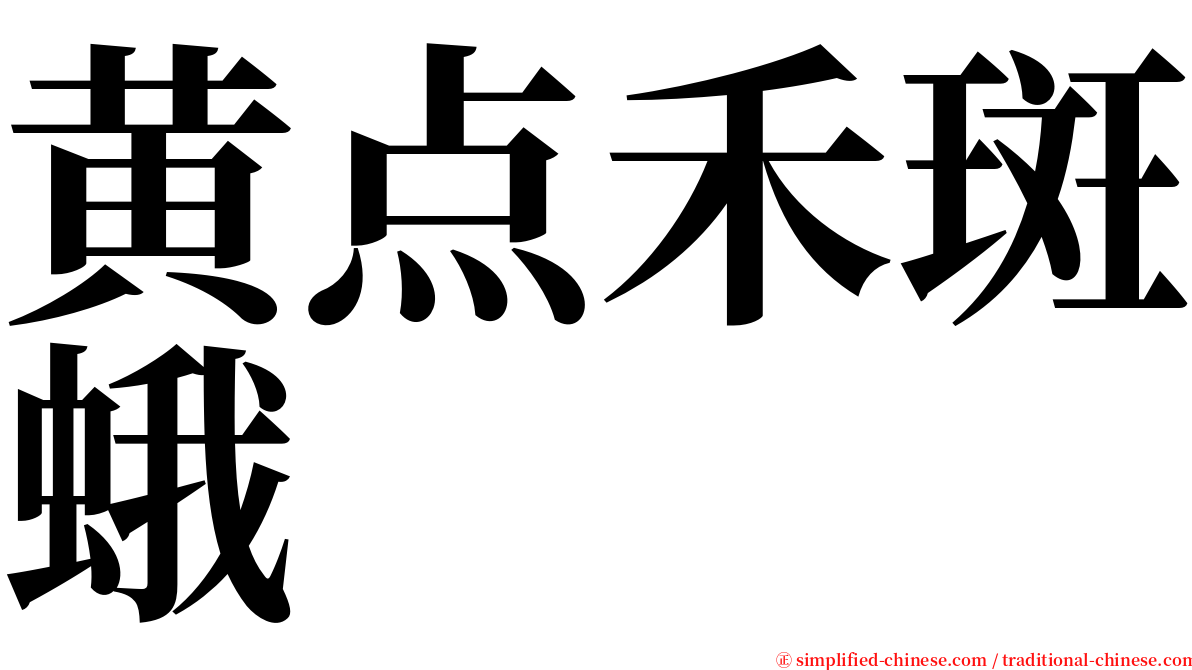 黄点禾斑蛾 serif font