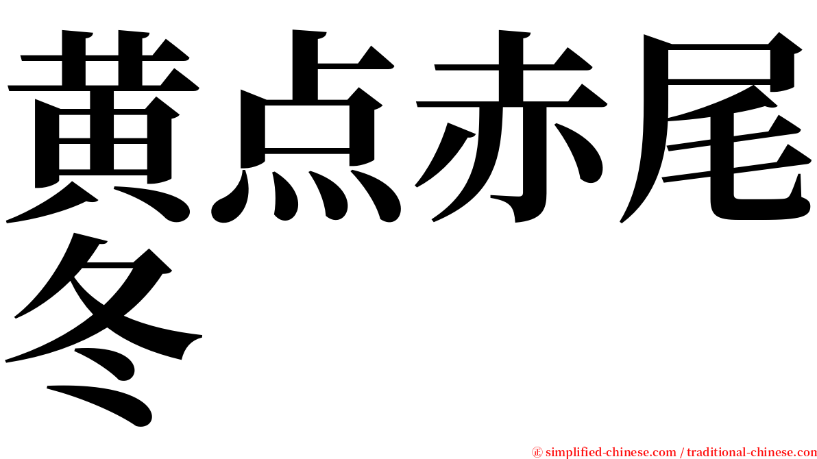 黄点赤尾冬 serif font