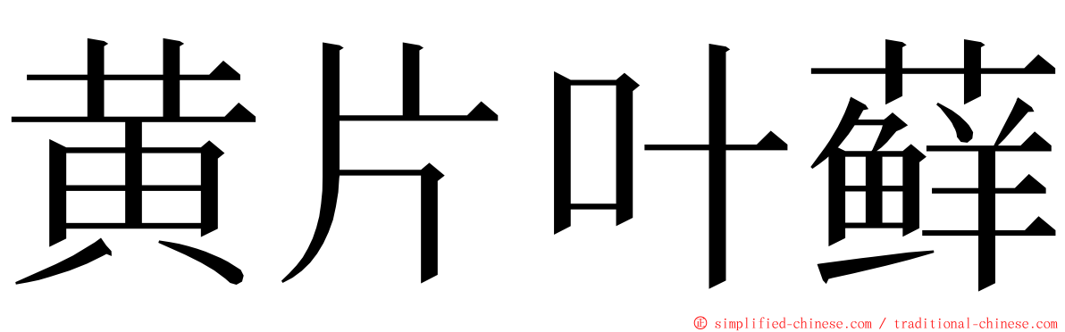黄片叶藓 ming font