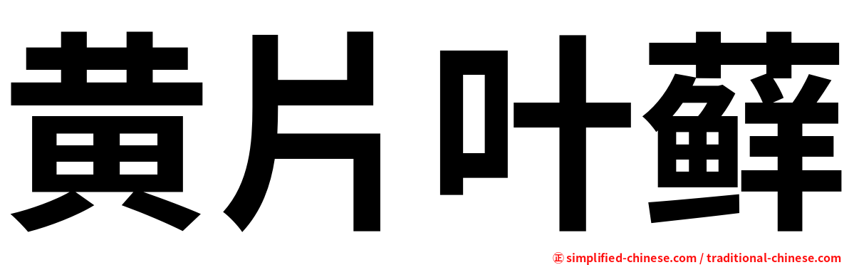 黄片叶藓
