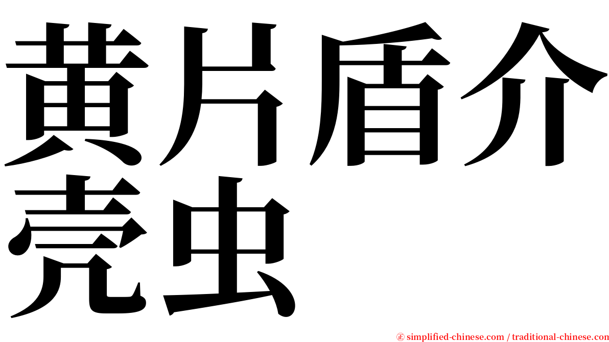 黄片盾介壳虫 serif font