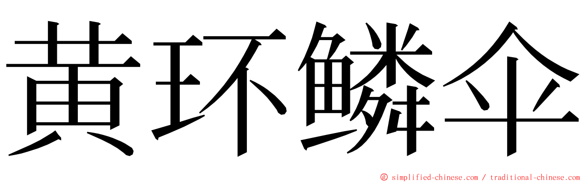 黄环鳞伞 ming font