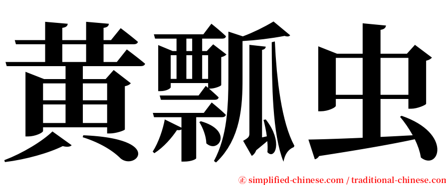 黄瓢虫 serif font
