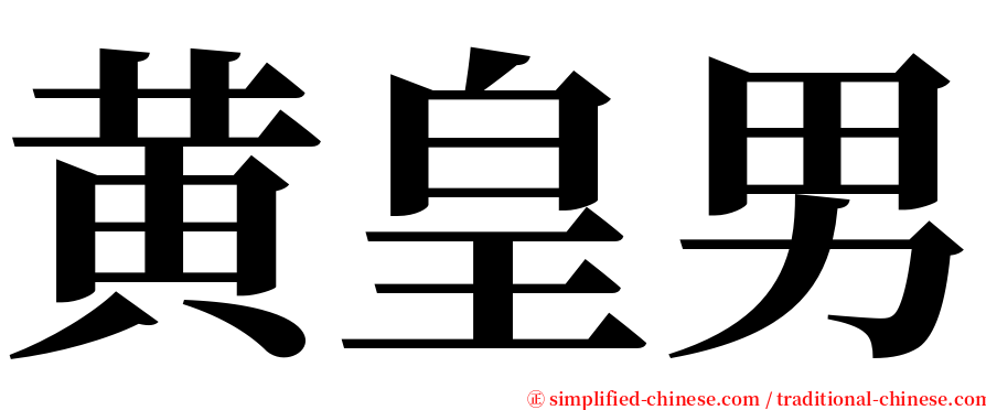 黄皇男 serif font