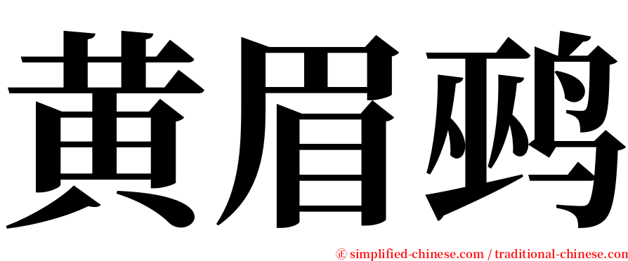 黄眉鹀 serif font
