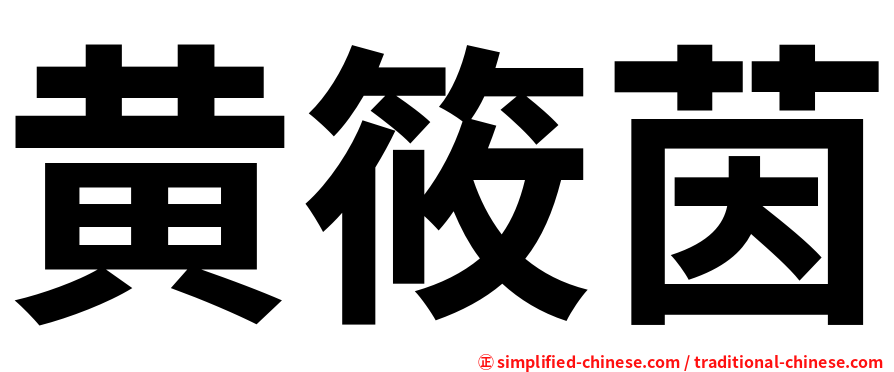 黄筱茵