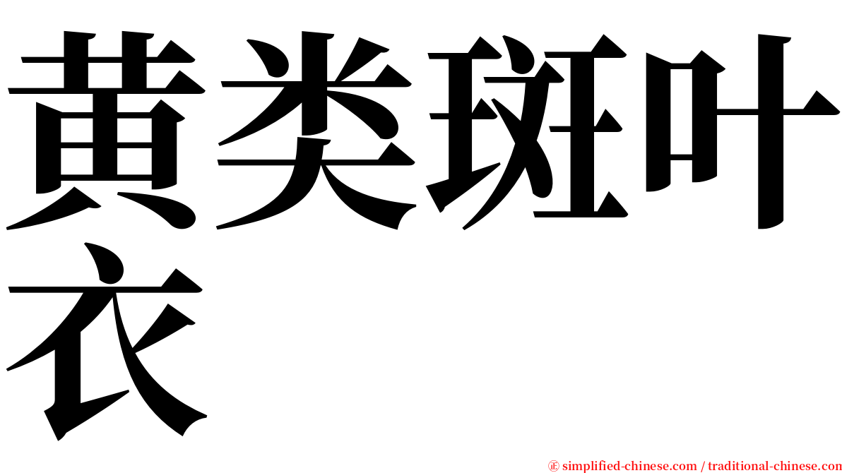黄类斑叶衣 serif font