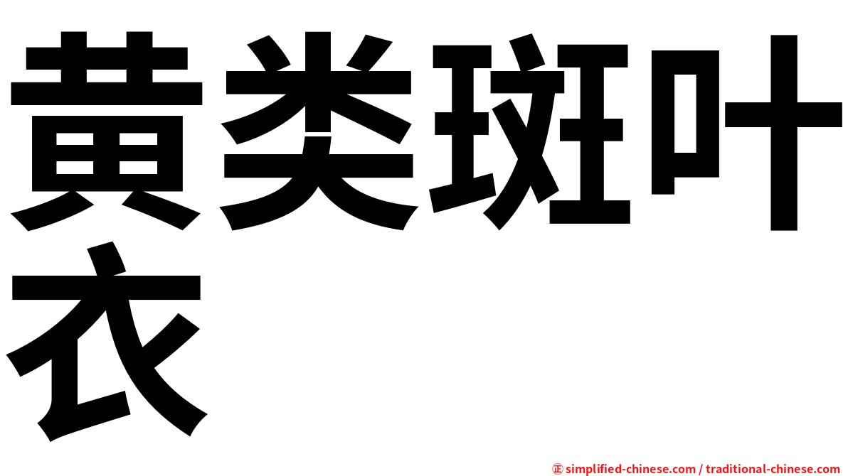 黄类斑叶衣