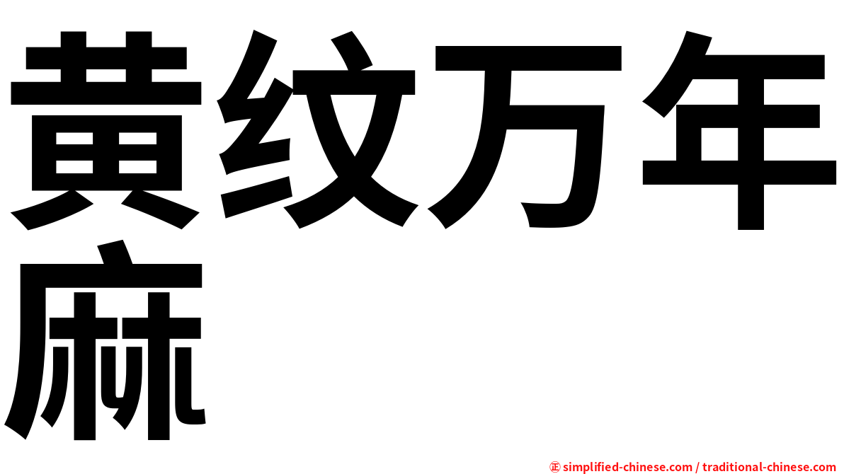 黄纹万年麻