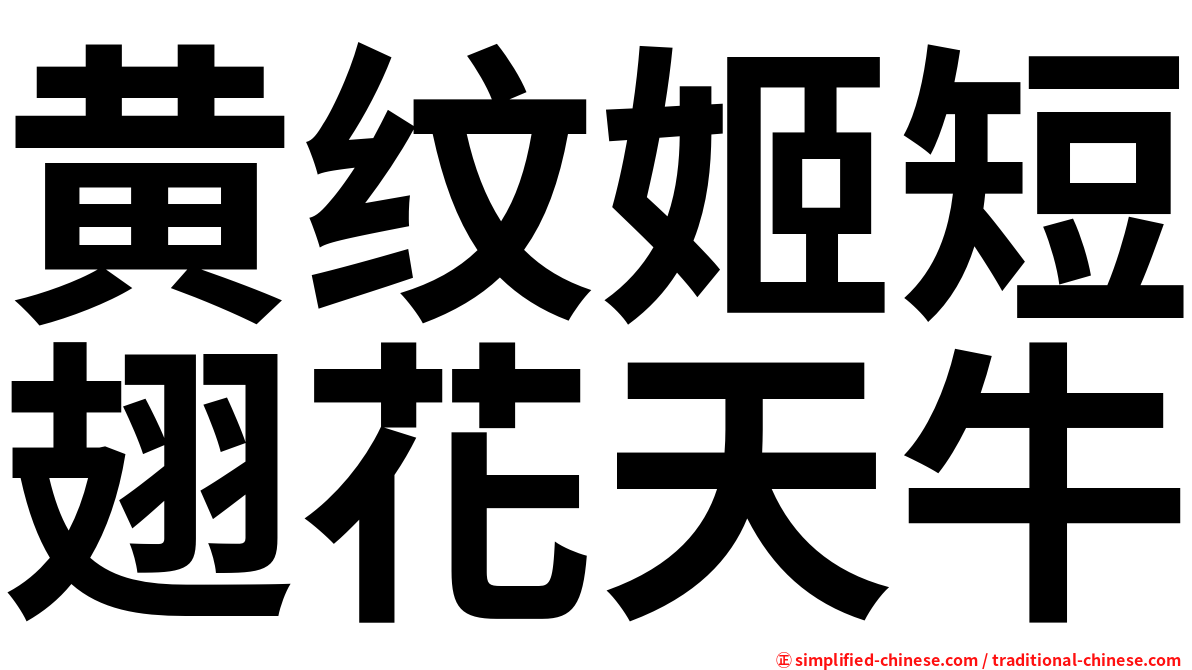 黄纹姬短翅花天牛