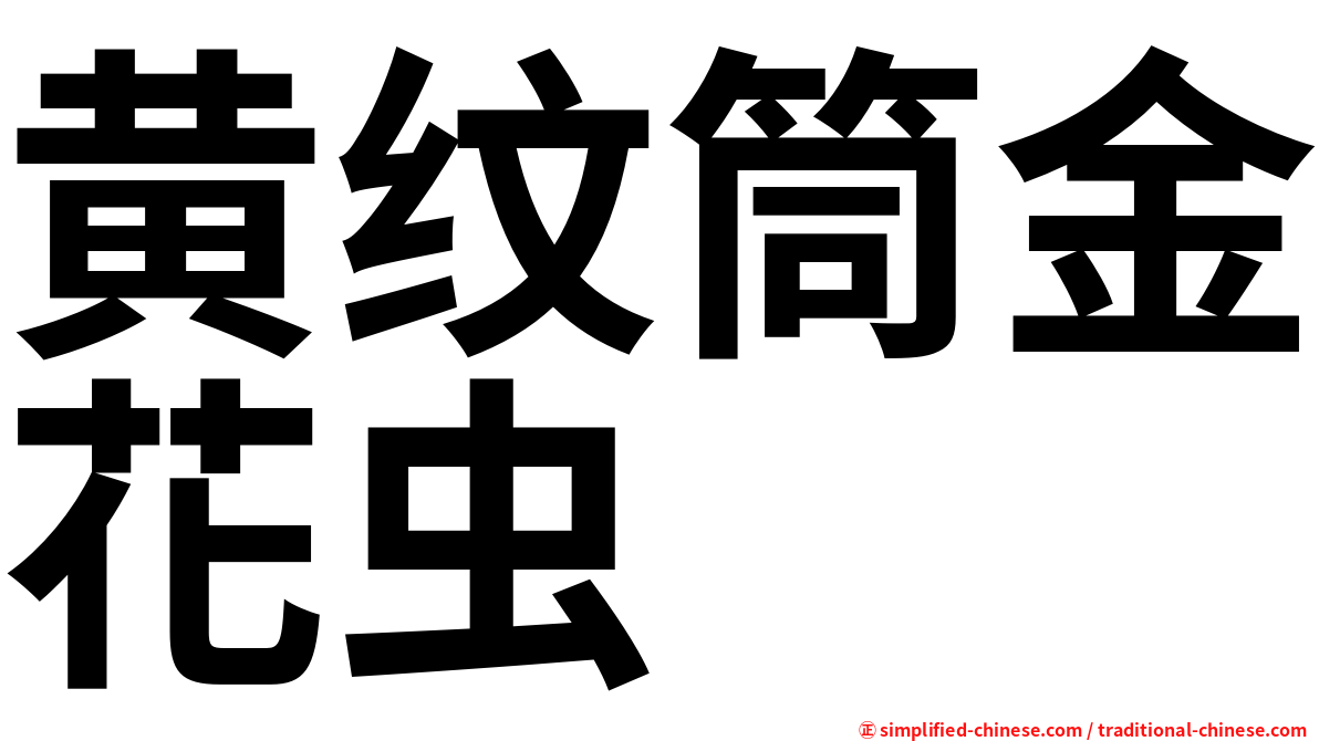 黄纹筒金花虫