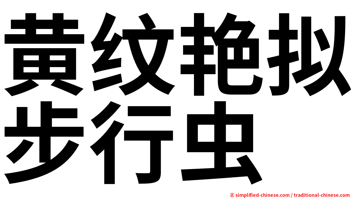 黄纹艳拟步行虫