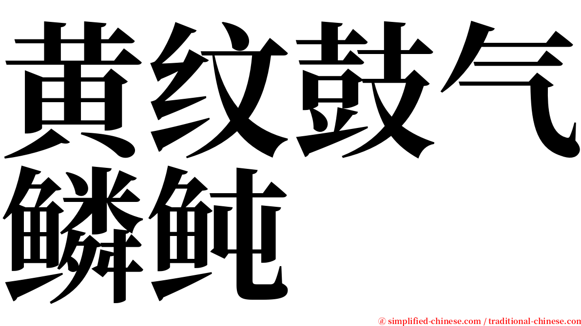 黄纹鼓气鳞鲀 serif font