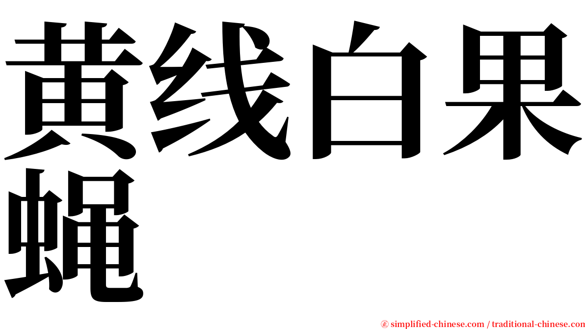 黄线白果蝇 serif font