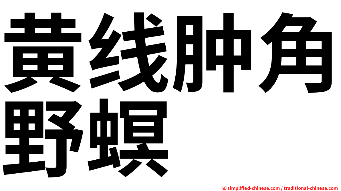 黄线肿角野螟