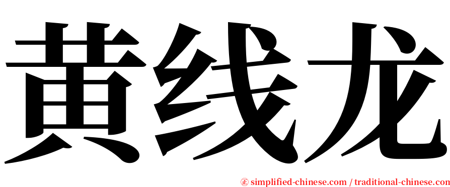 黄线龙 serif font
