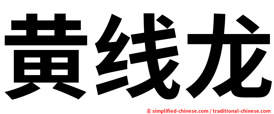 黄线龙