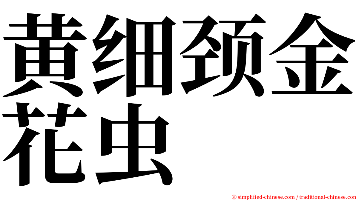黄细颈金花虫 serif font