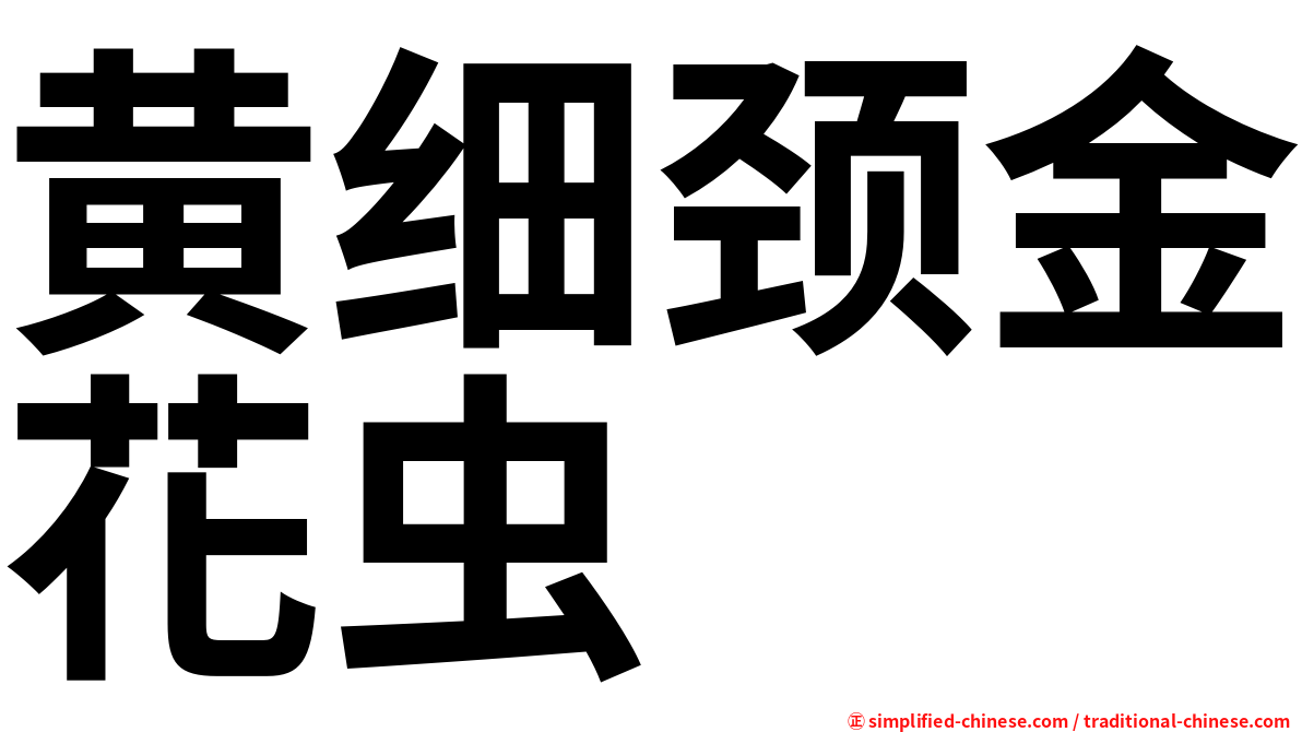黄细颈金花虫
