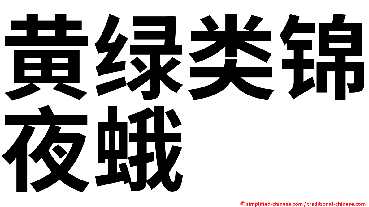 黄绿类锦夜蛾