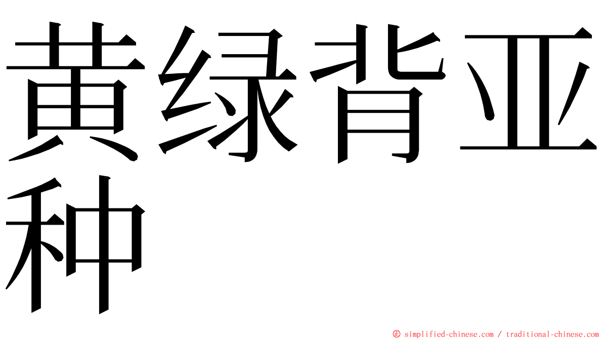黄绿背亚种 ming font