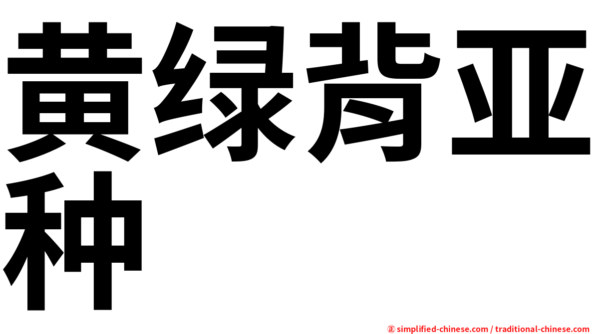 黄绿背亚种