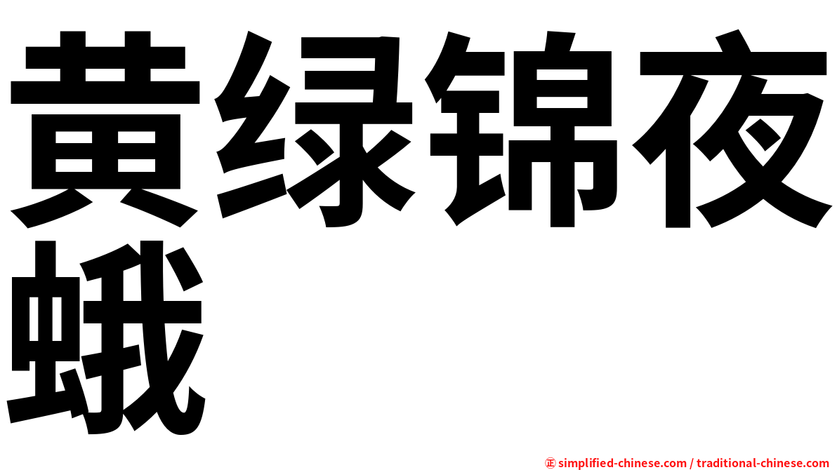 黄绿锦夜蛾