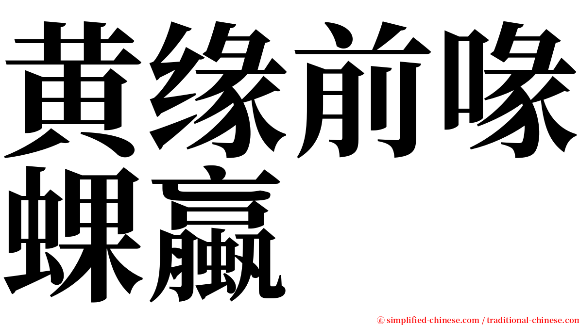 黄缘前喙蜾蠃 serif font