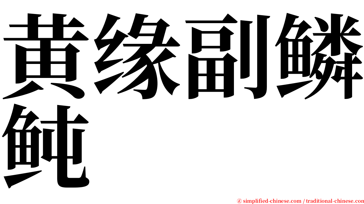 黄缘副鳞鲀 serif font