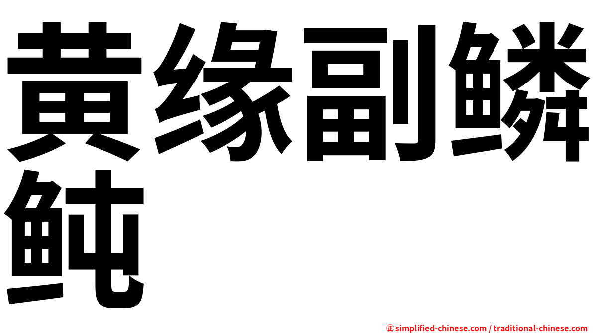 黄缘副鳞鲀