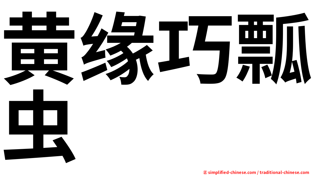 黄缘巧瓢虫