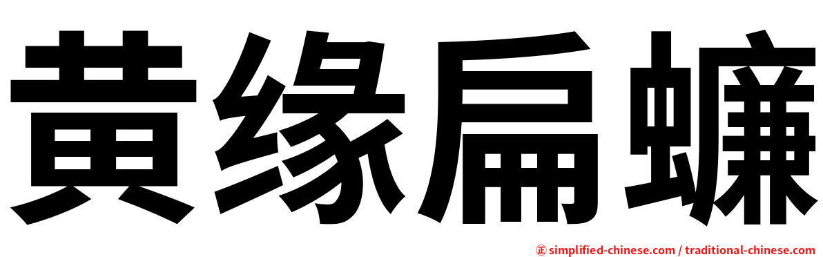 黄缘扁蠊