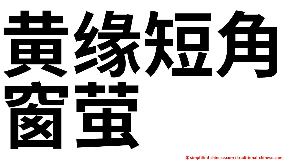 黄缘短角窗萤